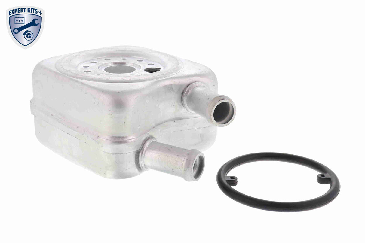 Oil Cooler, engine oil - V15-60-6010