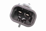 Switch, reverse light - V24-73-0007
