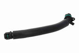 Hose, cylinder head cover ventilation - V20-5176