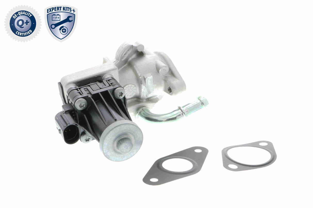 Valve, exhaust gas recirculation - V25-63-0019