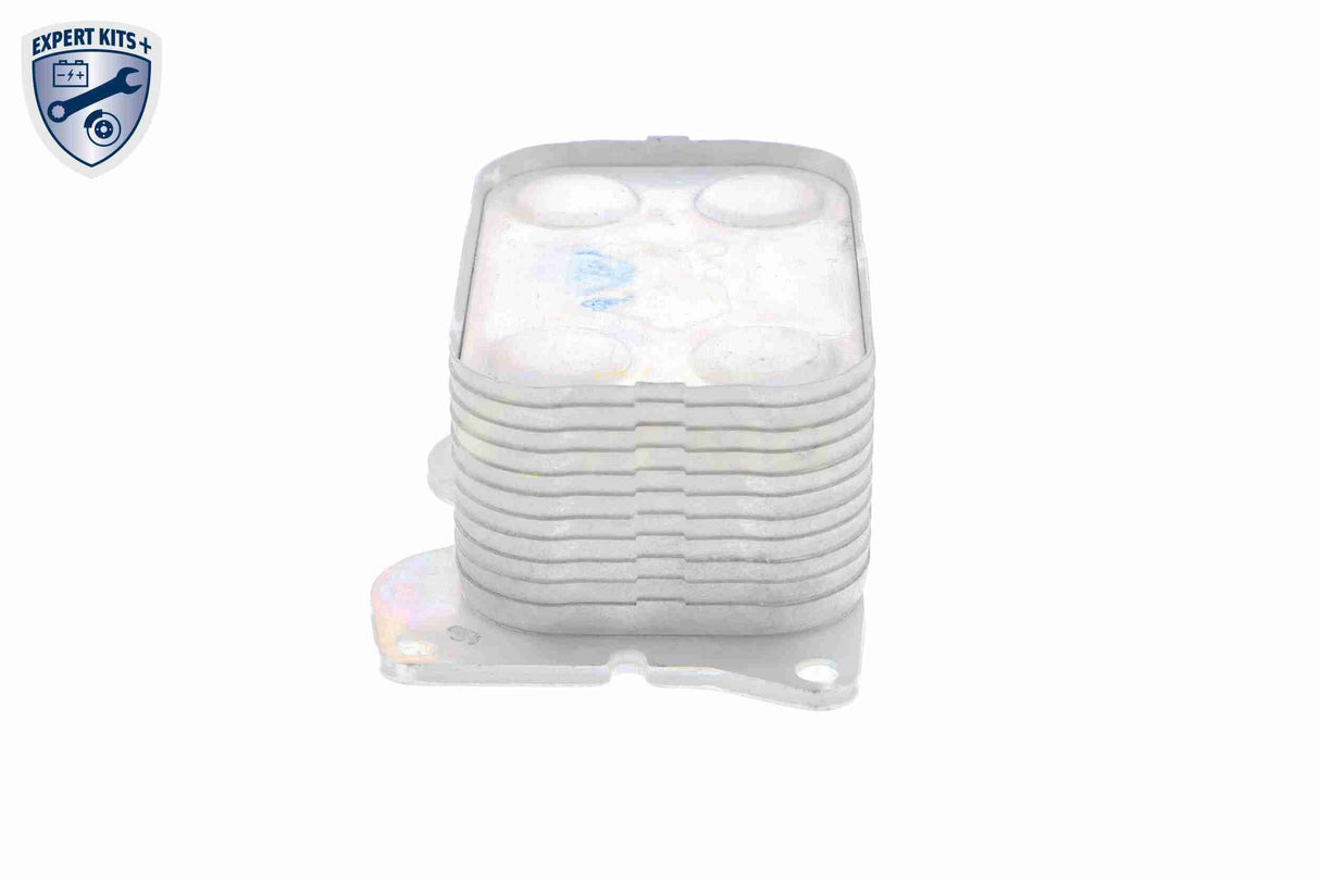 Oil Cooler, engine oil - V25-60-0025