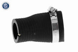 Charge Air Hose - V42-0597
