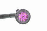 Switch, reverse light - V10-73-0021