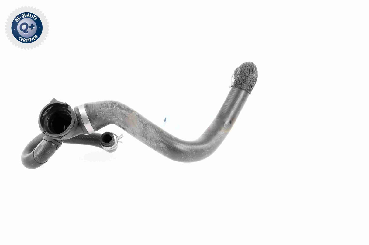 Radiator Hose - V25-1164