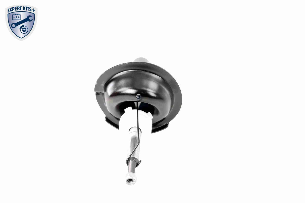 Shock Absorber - V25-0364