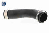 Charge Air Hose - V10-2833