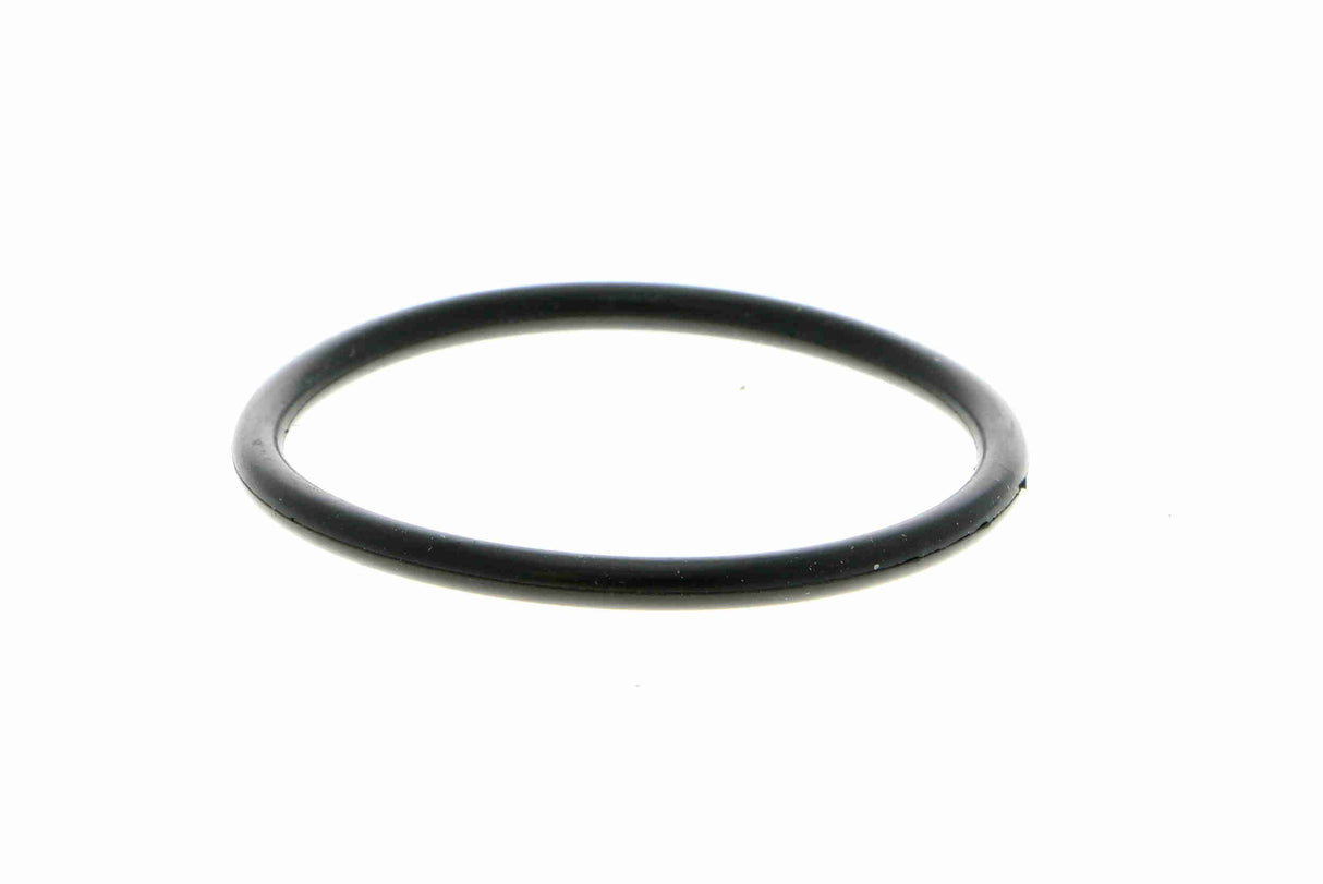 Water Pump, engine cooling - V10-50014