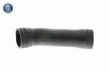Charge Air Hose - V10-4371