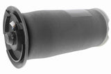 Air Suspension Strut - V20-50-0023
