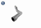 Charge Air Hose - V40-1364