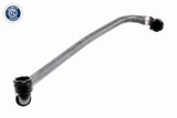 Radiator Hose - V48-0134