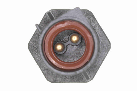 Sensor, intake air temperature - V25-72-0243