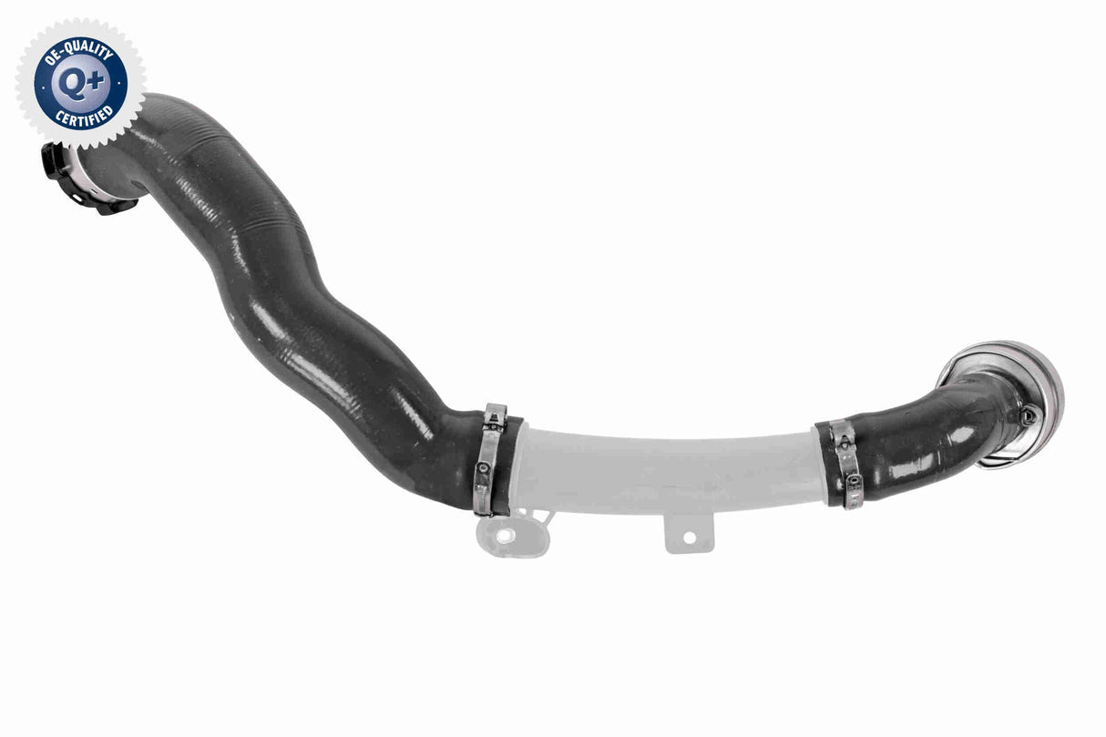 Charge Air Hose - V46-1494