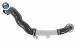 Charge Air Hose - V46-1494