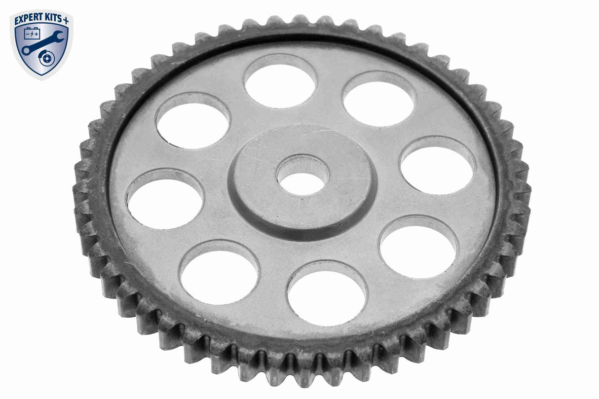 Timing Chain Kit - V10-10013-SP