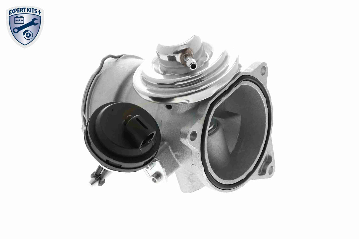 Valve, exhaust gas recirculation - V10-63-0032-1