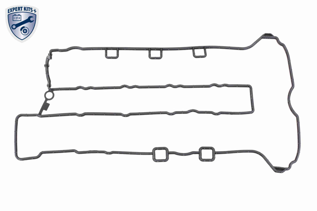 Cylinder Head Cover - V40-2154