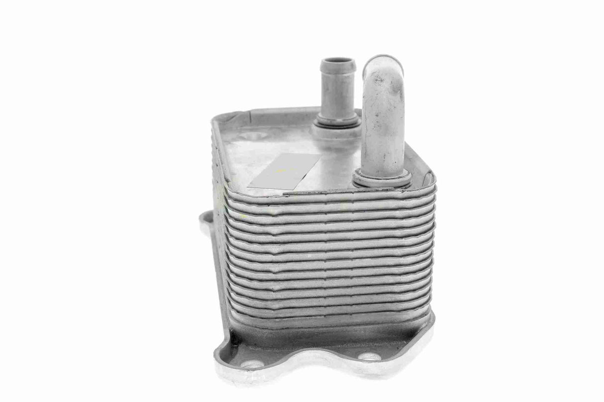 Oil Cooler, engine oil - V95-60-0011