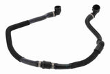 Radiator Hose - V20-4867