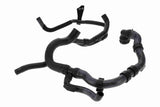 Radiator Hose - V10-000095