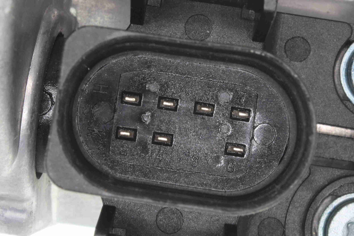 Throttle Body - V10-81-0100