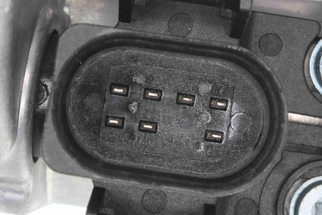 Throttle Body - V10-81-0100