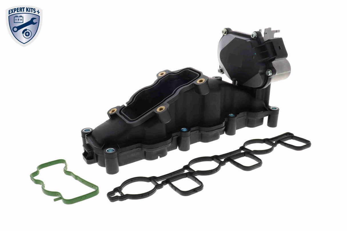 Intake Manifold Module - V10-6483