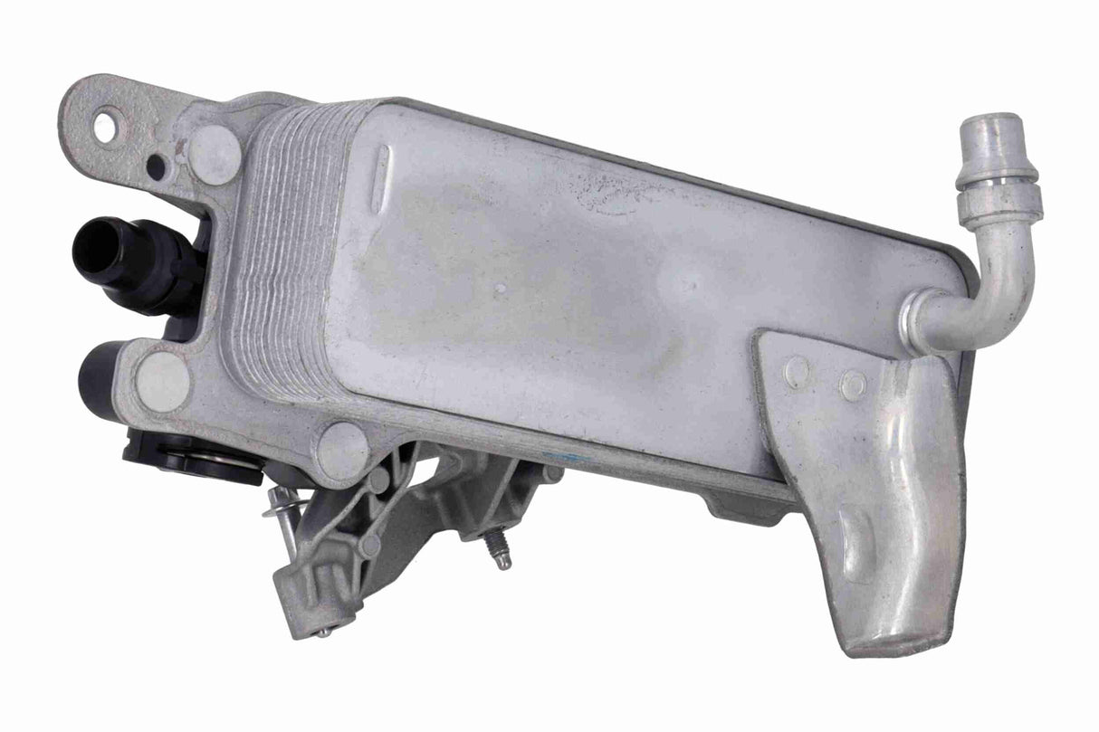 Oil Cooler, automatic transmission - V20-60-0099