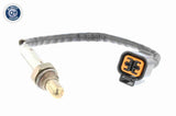 Oxygen Sensor - V52-76-0005
