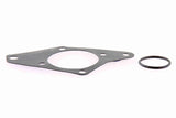 Water Pump, engine cooling - V24-50013