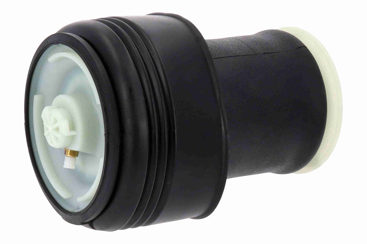 Air Suspension Strut - V20-50-0016
