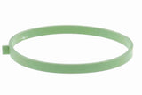 Gasket, throttle body - V10-81-0130
