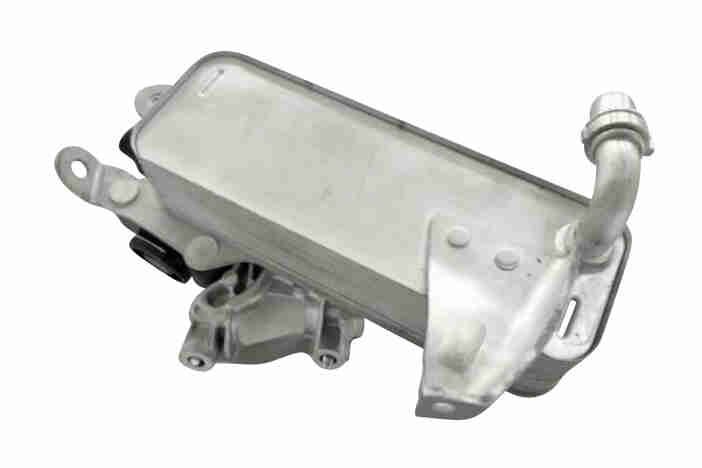 Oil Cooler, engine oil - V20-60-0010