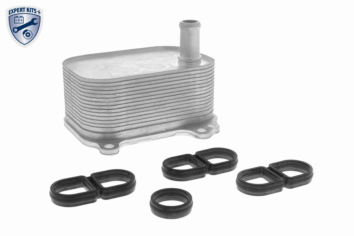 Oil Cooler, engine oil - V10-60-0066