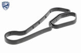 Oil Cooler, engine oil - V20-60-0045