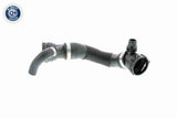 Radiator Hose - V20-2400