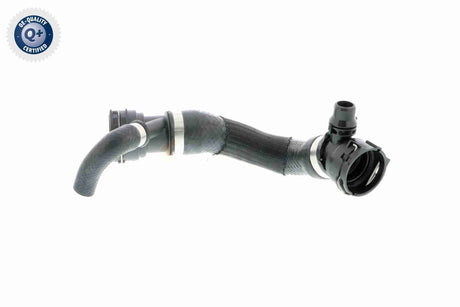 Radiator Hose - V20-2400