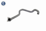 Radiator Hose - V20-1260