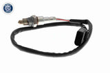 Oxygen Sensor - V10-76-0158
