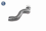 Charge Air Hose - V10-3786