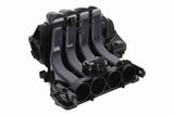 Intake Manifold Module - V10-8820