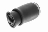 Air Suspension Strut - V20-50-0021-1