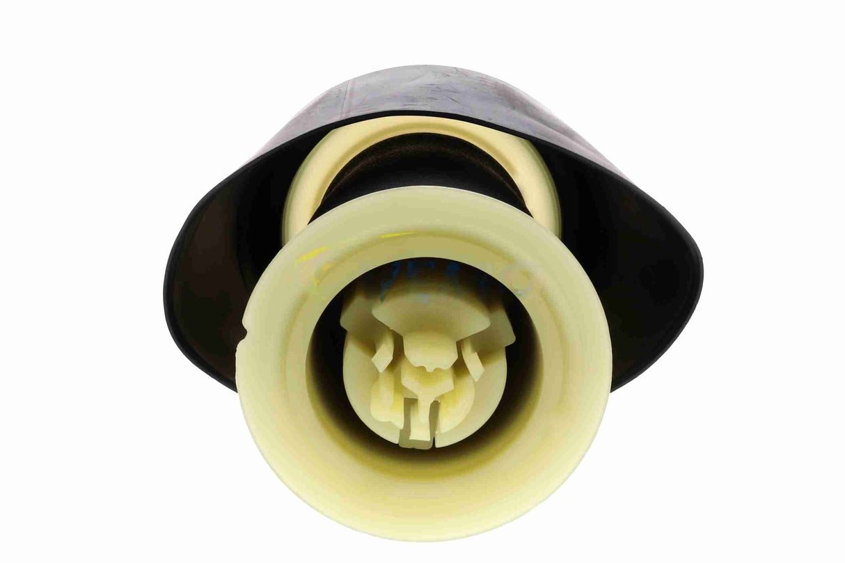 Air Suspension Strut - V20-50-0011-1