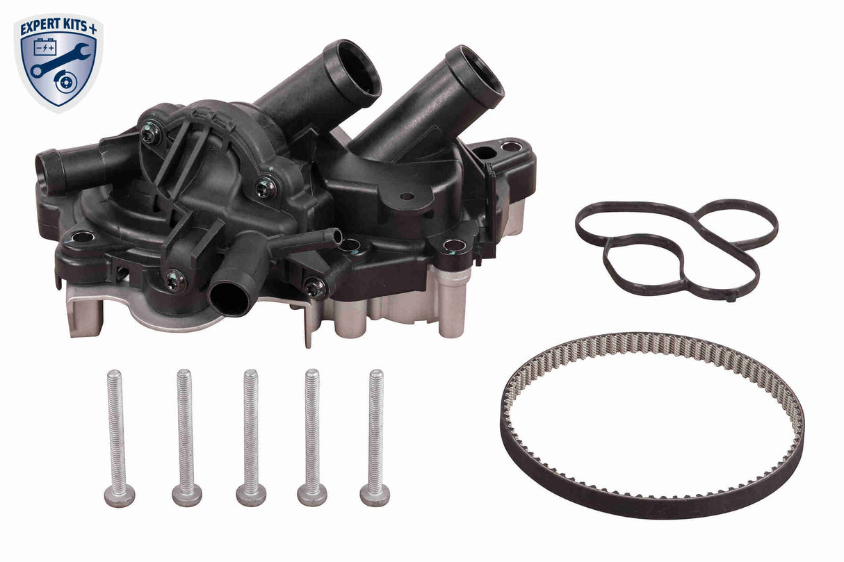 Water Pump & Timing Belt Kit - V15-99-2129