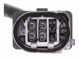 Oxygen Sensor - V22-76-0019