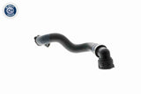 Radiator Hose - V20-1762