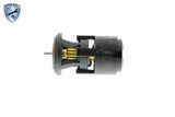 Thermostat, coolant - V15-99-2019