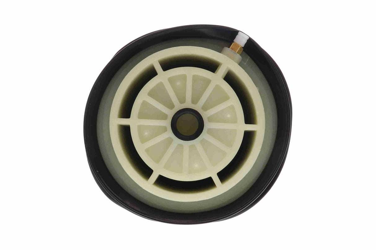 Air Suspension Strut - V30-50-0004-1