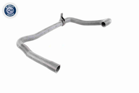 Radiator Hose - V42-0665