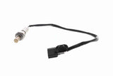 Oxygen Sensor - V46-76-0019